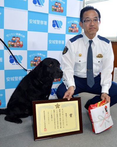 日本爱知县一警犬屡建奇功 警方奖励狗粮及奖