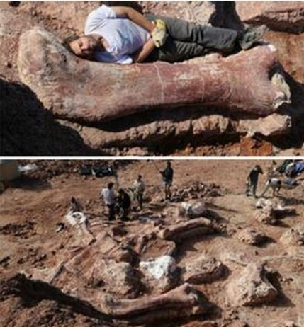 阿根廷现最大恐龙化石 考古学家掘出150块完好化石(组图)今日热点世界