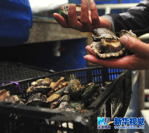 王顶堤海鲜批发市场_黄骅海鲜批发市场_三亚第一市场海鲜图片