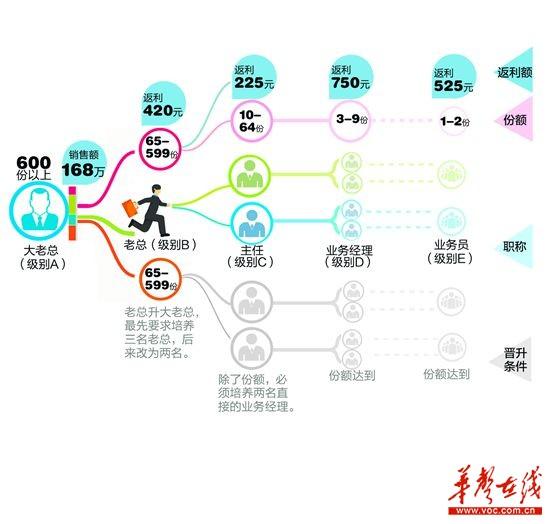 制图/杨诚