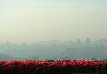 图1：韩国首都首尔笼罩在雾霾之中。