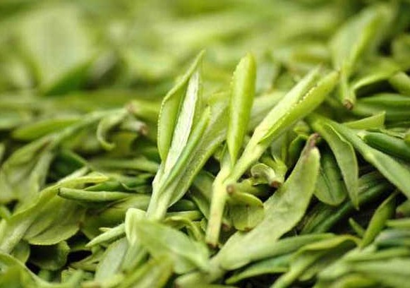 龙井还是碧螺春?绿茶的种类你清楚吗?
