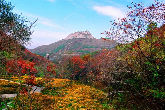 红叶谷风景区