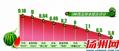 9个西瓜检测打分 早春红玉最甜沙头8424最好吃