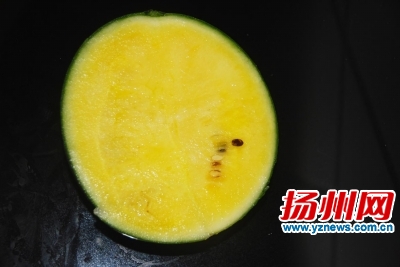 9个西瓜检测打分 早春红玉最甜沙头8424最好吃