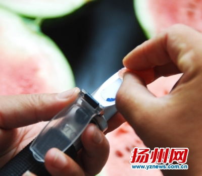 9个西瓜检测打分 早春红玉最甜沙头8424最好吃