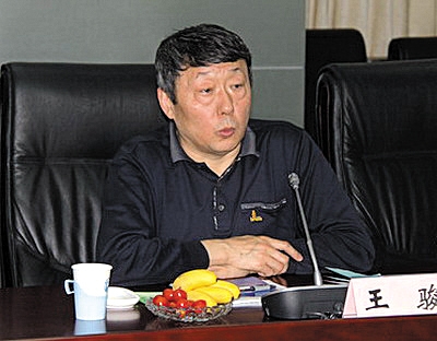 国家能源局新能源和可再生能源司司长王骏
