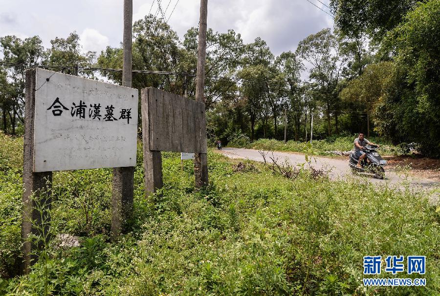 合浦汉墓群遗址 (5月26日摄).新华社记者 李贺