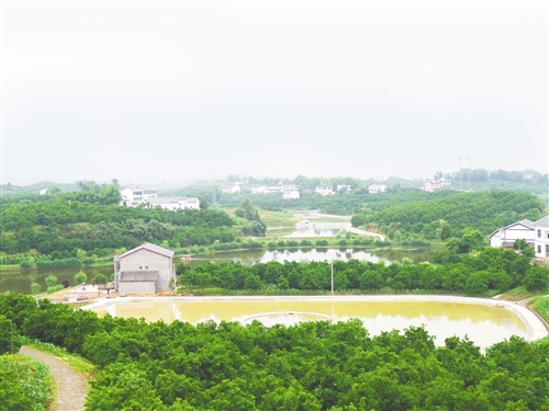 拔山镇杨柳村水利建设