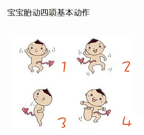 何洁数胎动闹笑话 教你读懂来自胎儿的家书(2)-搜狐母婴