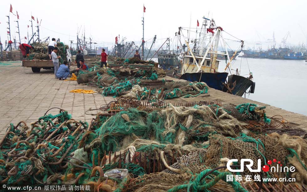 我国渤海,黄海进入伏季休渔期(高清组图)