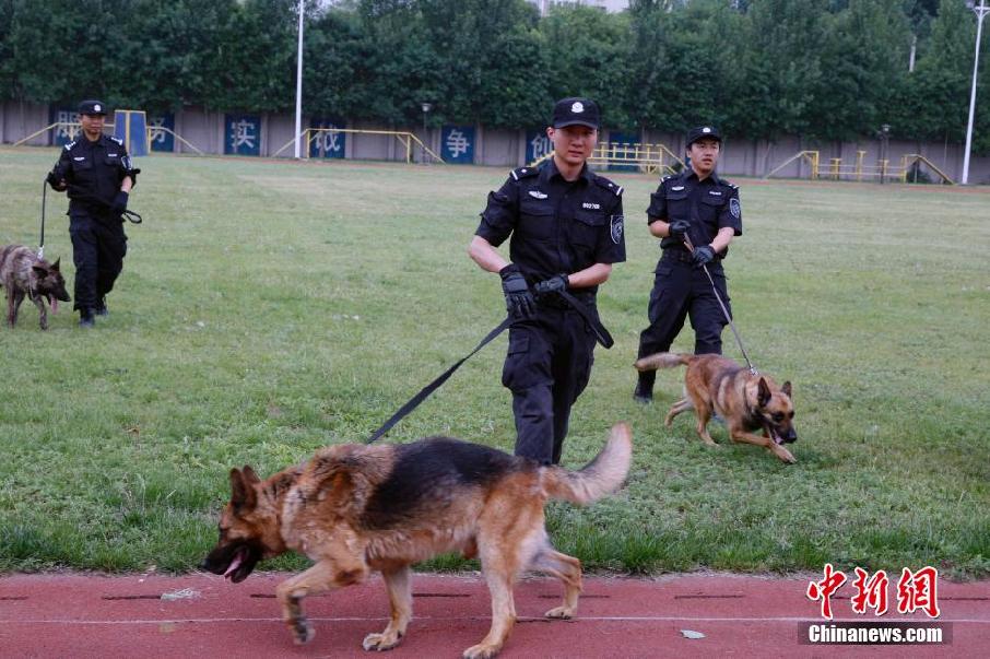 北京警察警察犬训练基地(组图)