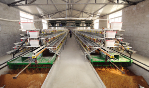 生态床养鸡设施