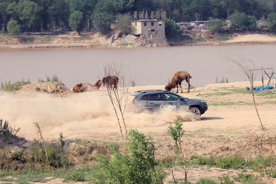 破界自由 Jeep自由光高性能版登陆齐鲁高清图片