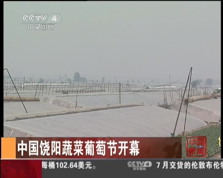 中国饶阳蔬菜葡萄节开幕图片