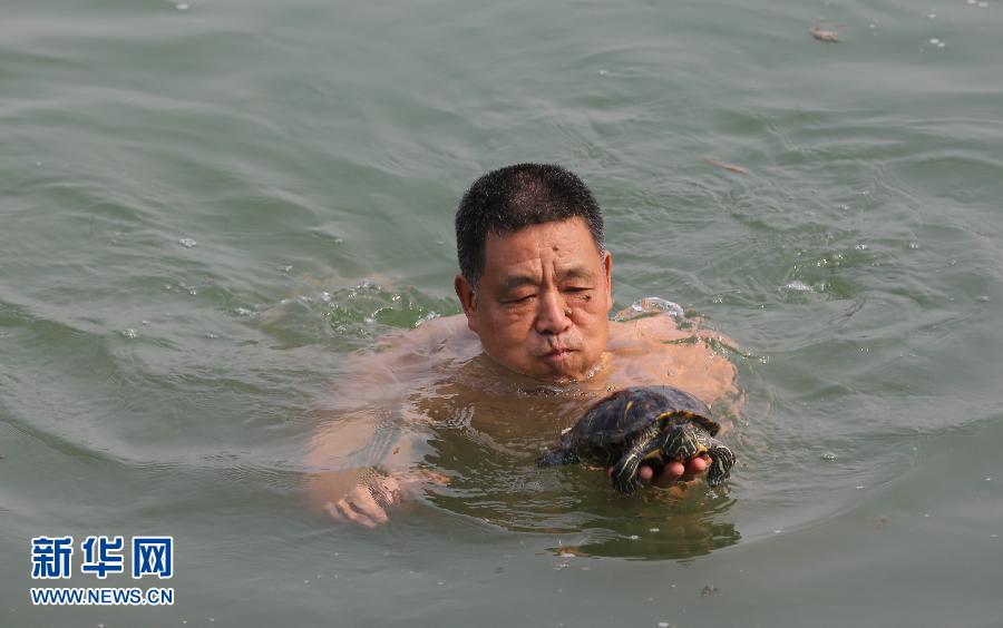 人龟同泳 湖北一市民与红耳龟畅游汉江(组图)