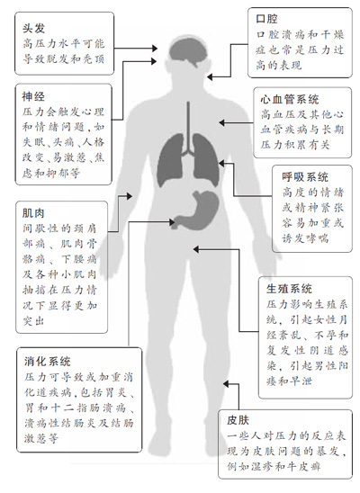 下面列出的是最易受到压力影响的身体部位.