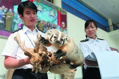 国内最大世界动物标本馆在青岛建成 向社会征名