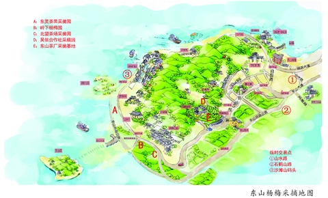 东山推出采摘地图方便市民体验图片