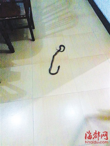 盘踞在地上的蛇约1米长,头部呈三角形,蛇通体