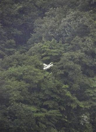 日本警方搜救闹乌龙 山中白花盛放似飞机坠毁