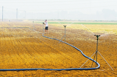 6月13日,孟州市谷旦镇谷旦村一名村民利用节水灌溉装置为刚种植的花生