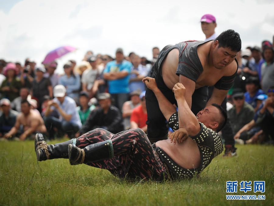 呼伦贝尔大草原上的那达慕(组图)