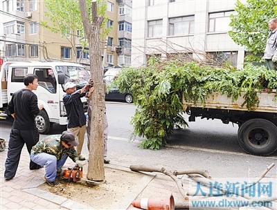 大连中山区各街道人口_大连中山区图片