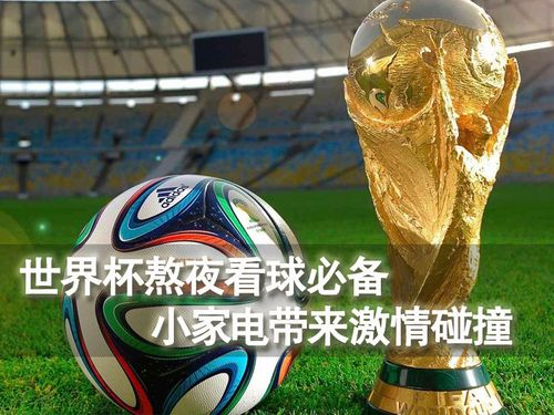 世界杯熬夜看球必备 小家电带来激情碰撞(1)_小家电_光明网
