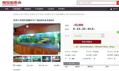 金龙鱼网上拍卖。 淘宝截图