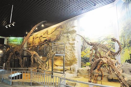 重庆自然博物馆展出亚洲最完整肉食龙化石(图