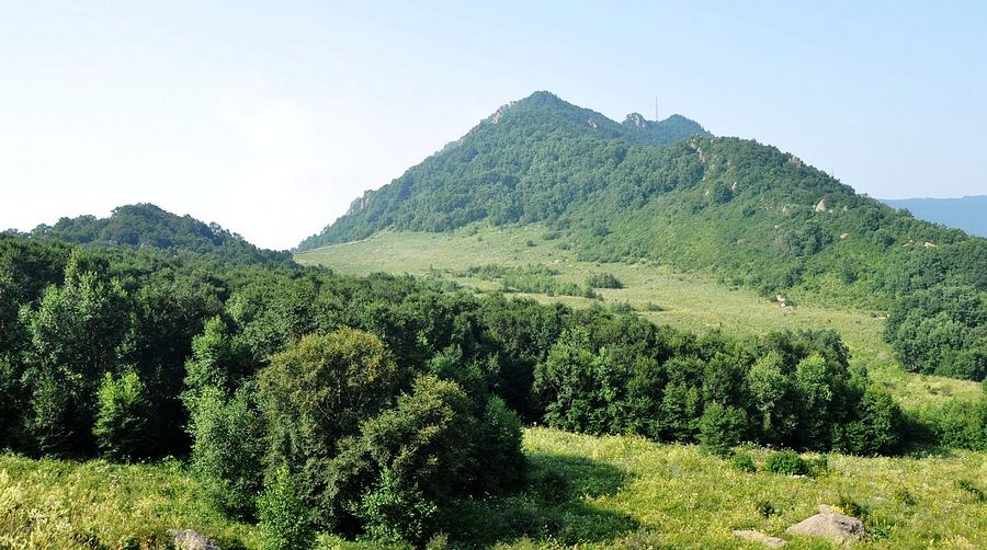 【】锦簇攒天百花山