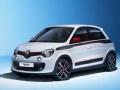 [Լ]ԴԸ 2014ŵtwingo