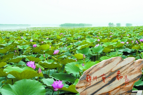 万亩龙湖,浩浩荡荡 资料图片 第八届中国·淮阳龙湖