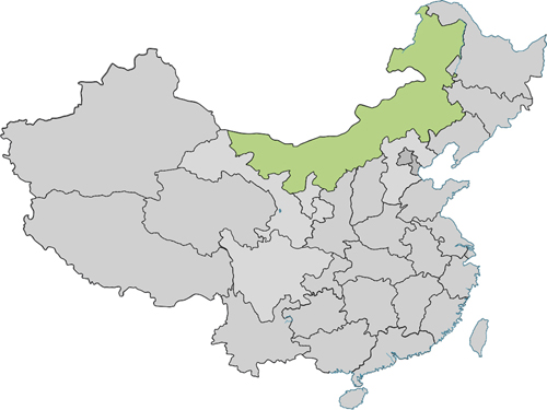 赤峰昭乌达妇女可持续发展协会就属于这一系列;三是1996年,中国西部