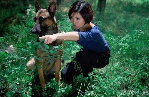 电视剧神犬奇兵全集剧情 "小米""沧海"出奇表现引围观