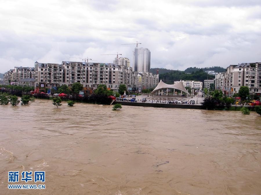 ... 第八中学校花_铜仁市思南县_铜仁市碧江区规划图