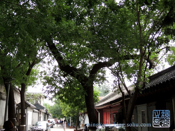 沙井胡同 Shajing Hutong