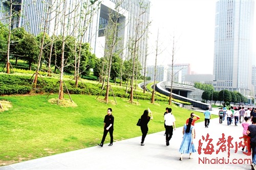 南京政务服务中心前,上千平方米的堆坡绿化非常壮观,种上了不少大树