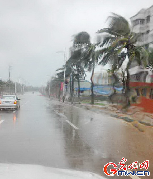 台风威马逊将临 海南红会备战台风 一线报告