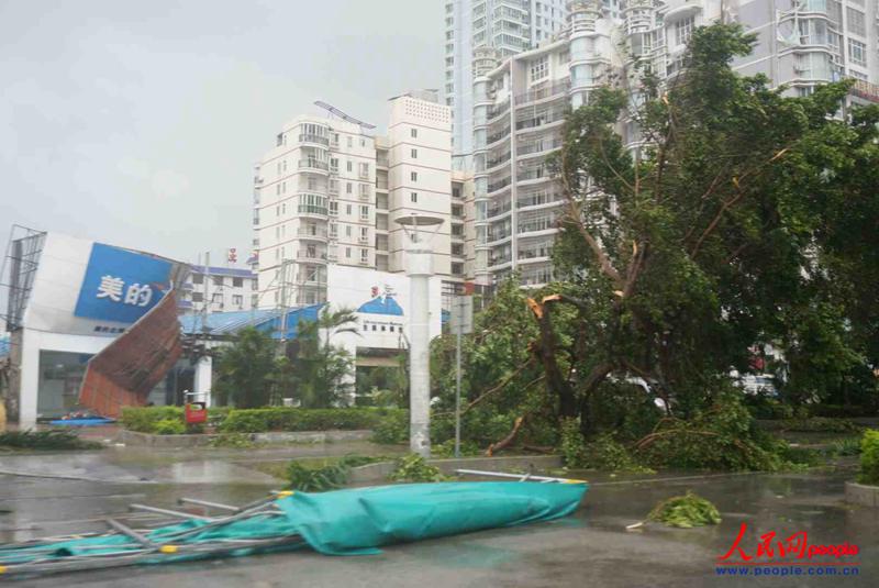 北海北部湾广东路路口,树木被风吹倒挡住路面北海365网友供图