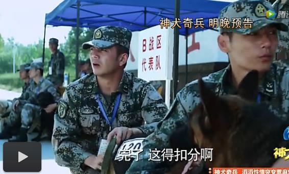 神犬奇兵32集预告:龙飞走失陷危险圈套