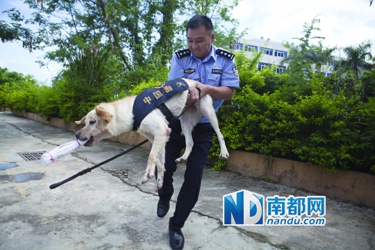 【组图】一只缉毒犬的自述(组图)