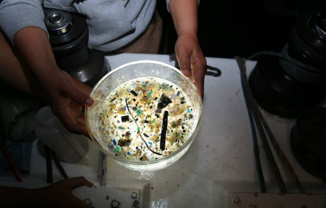 太平洋现垃圾岛 塑料片聚集成礁岩来于海啸(