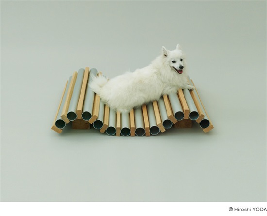 Dog Cooler