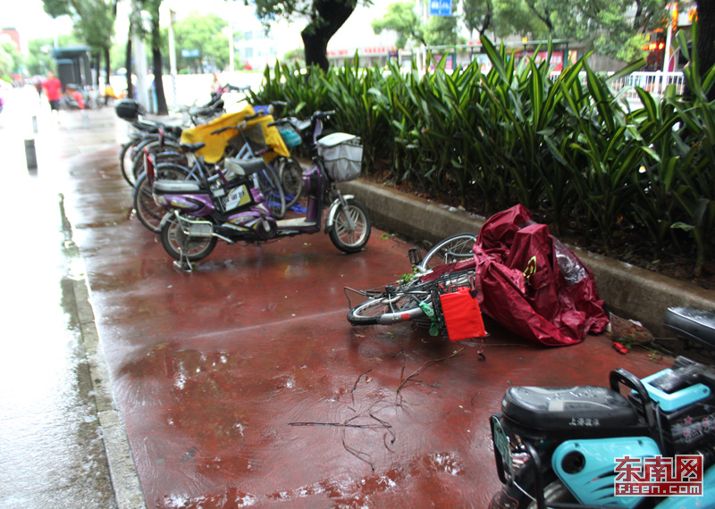 麦德姆挟风带雨袭击福州 后续仍有狂风暴雨(