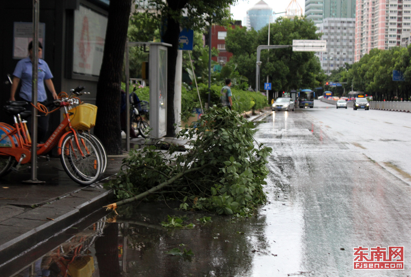 麦德姆挟风带雨袭击福州 后续仍有狂风暴雨(