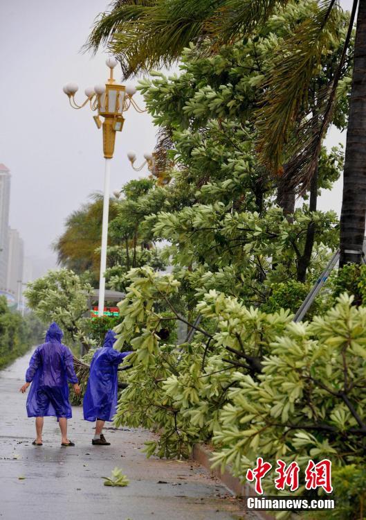 台风"麦德姆"登陆福建 带来狂风暴雨(高清组图)