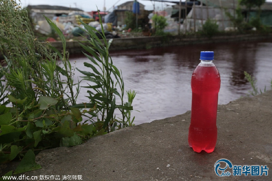 温州内河河水一夜变“血水” 周边无化工企业