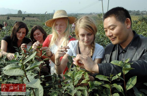 美报:美国商人在中国做生意意味着白手起家(组